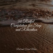 50 Restful Compilation for Sleep and Relaxation