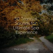 50 Tranquil Sounds for Ultimate Spa Experience