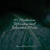 50 Meditation Relaxation and Relaxation Music