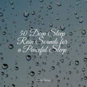 50 Deep Sleep Rain Sounds for a Peaceful Sleep