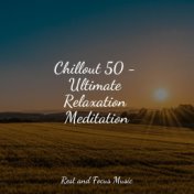 Chillout 50 - Ultimate Relaxation Meditation
