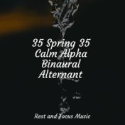 35 Spring 35 Calm Alpha Binaural Alternant