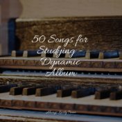 50 Songs for Studying - Dynamic Album