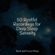50 Restful Recordings for Deep Sleep Serenity
