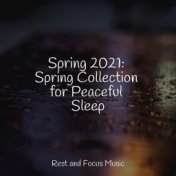 Spring 2021: Spring Collection for Peaceful Sleep