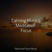 Calming Music | Meditation Focus