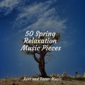 50 Spring Relaxation Music Pieces