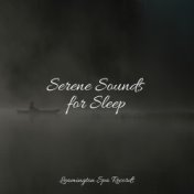 Serene Sounds for Sleep