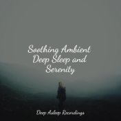 Soothing Ambient Deep Sleep and Serenity