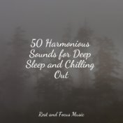 50 Harmonious Sounds for Deep Sleep and Chilling Out