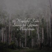 50 Wonderful Rain Sounds for Ultimate Mindfulness