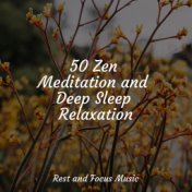 50 Zen Meditation and Deep Sleep Relaxation