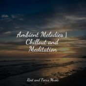 Ambient Melodies | Chillout and Meditation