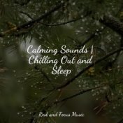 Calming Sounds | Chilling Out and Sleep