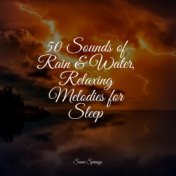 50 Sounds of Rain & Water, Relaxing Melodies for Sleep