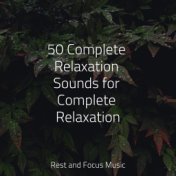 50 Complete Relaxation Sounds for Complete Relaxation