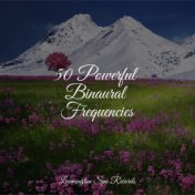 50 Powerful Binaural Frequencies