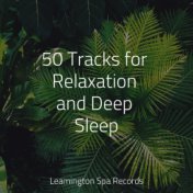 50 Tracks for Relaxation and Deep Sleep