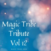 Magic Tribe Tribute Vol 12