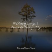 #Sleepy Songs | Peace & Tranquility