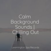 Calm Background Sounds | Chilling Out