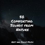 50 Comforting Sounds from Nature
