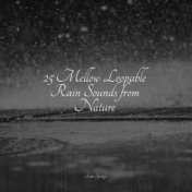 25 Mellow Loopable Rain Sounds from Nature