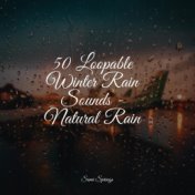 50 Loopable Winter Rain Sounds - Natural Rain