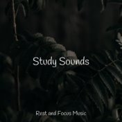 Study Sounds