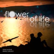 Flower of Life (Instrumental)