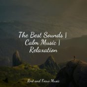 The Best Sounds | Calm Music | Relaxation