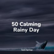 50 Calming Rainy Day