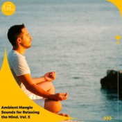 Ambient Mangle Sounds for Relaxing the Mind, Vol. 5