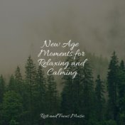 New Age Moments for Relaxing and Calming