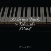 50 Serene Tracks to Relax the Mind