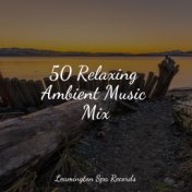 50 Relaxing Ambient Music Mix