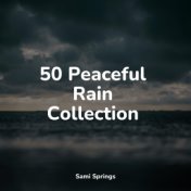 50 Peaceful Rain Collection
