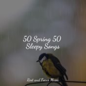 50 Spring 50 Sleepy Songs
