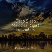 Deep Sleep Melodies | Spa & Relaxation