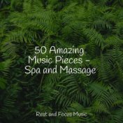 50 Amazing Music Pieces - Spa and Massage