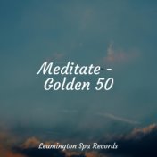 Meditate - Golden 50