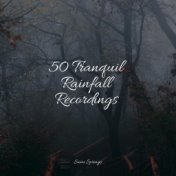 50 Tranquil Rainfall Recordings