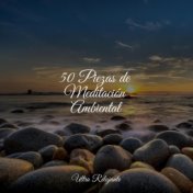 50 Piezas de Meditación Ambiental