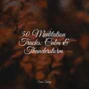50 Meditation Tracks: Calm & Thunderstorm