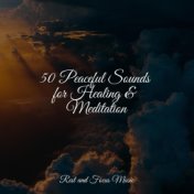 50 Peaceful Sounds for Healing & Meditation