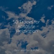 50 Tracks for Absolute Relaxation