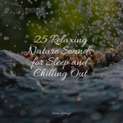 25 Relaxing Nature Sounds for Sleep and Chilling Out