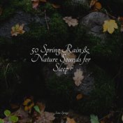 50 Spring Rain & Nature Sounds for Sleep