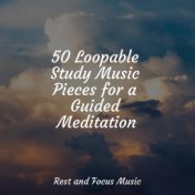 50 Loopable Study Music Pieces for a Guided Meditation