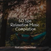 50 Spa Relaxation Music Compilation
